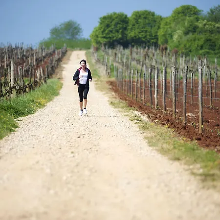 Skiper Apartments&golf Aparthotel 4*